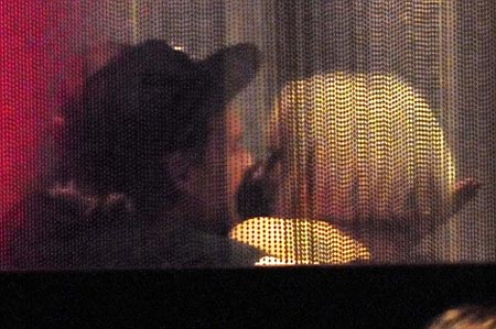 Lady GaGa muy romantica con un nuevo chico