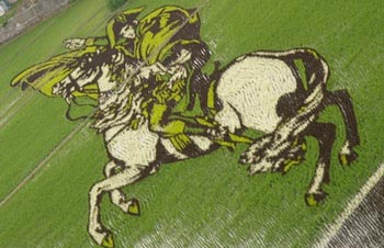 Obra artistica de Napolen, en los cultivos de arroz de Inakadate
