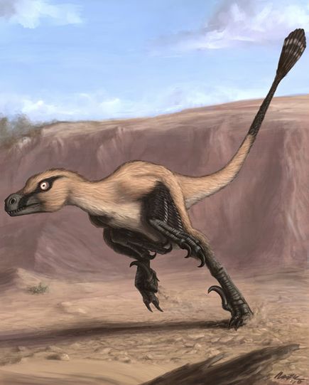 linheraptor nuevo dinosaurio