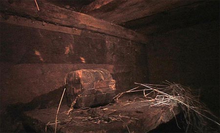 Parte interior del Arca de Noe