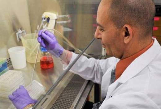 Científicos descubren molécula Liminib, que controla crecimiento de células cancerígenas