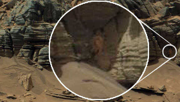 Captan a una araña en Marte en una pared rocosa