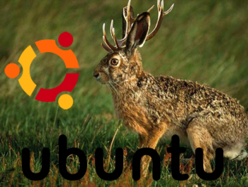 Ubuntu 9.04 Jaunty Jackalope